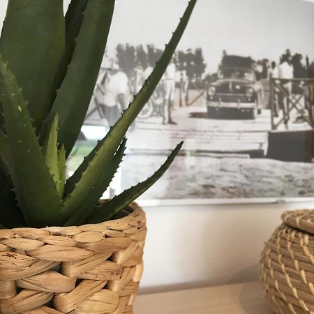 Apartament Lo Passador Deltebre Zewnętrze zdjęcie